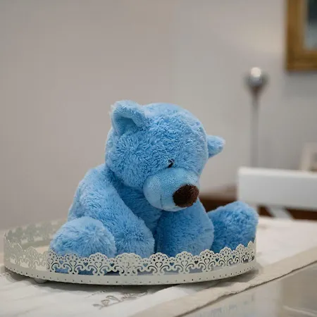 Casa Bear Apartment *